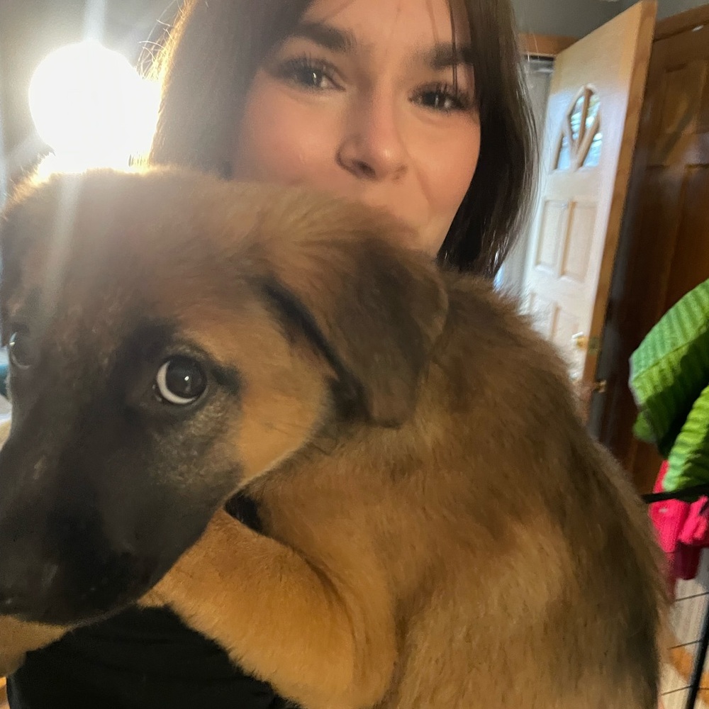 Meet your Posher, Violet